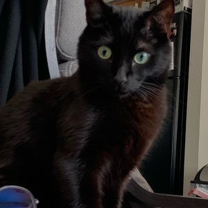 Meet your Posher, Jacinda